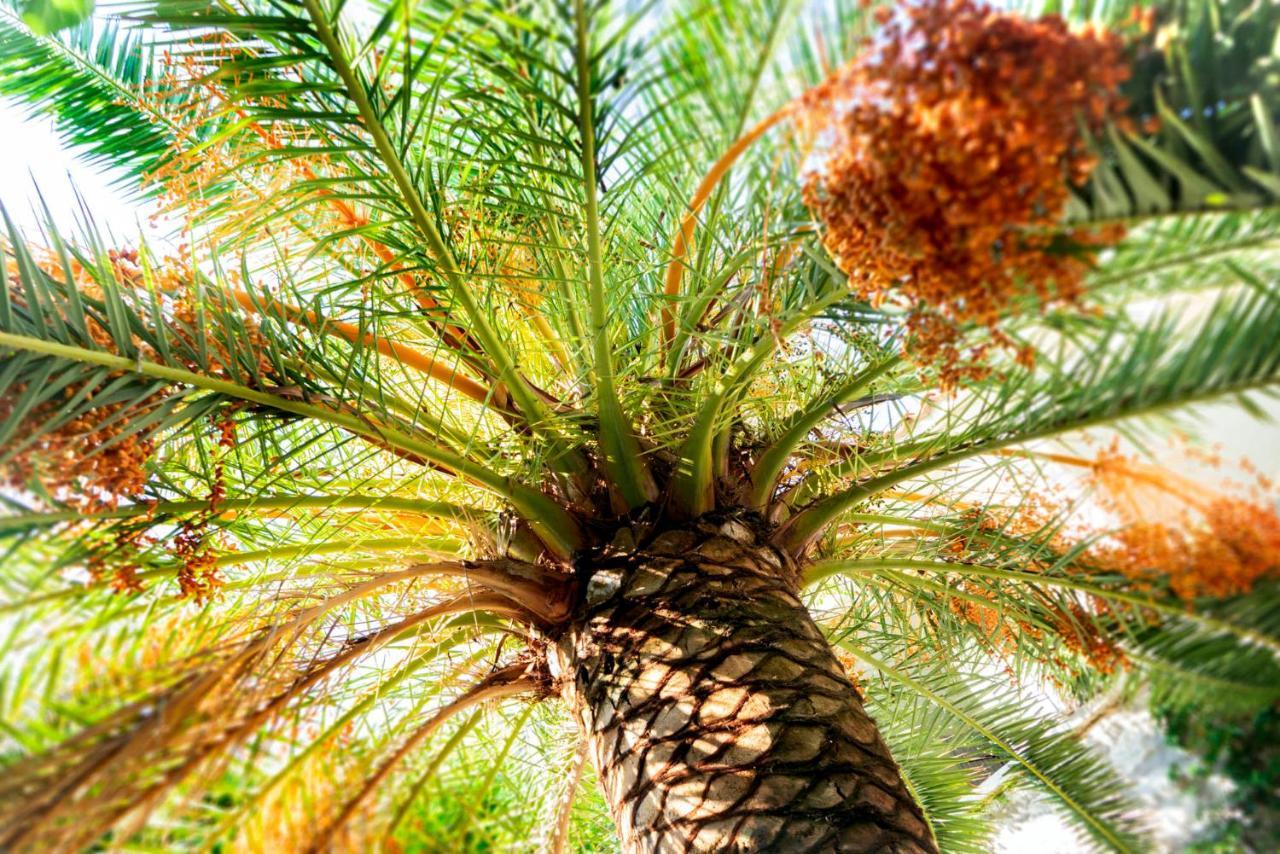 فندق آلافيا ألاتشاتي المظهر الخارجي الصورة